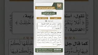 صورة 5544 -  تفسير قوله تعالى ( أفلا ينظرون إلى الإبل كيف خلقت )  - نور على الدرب