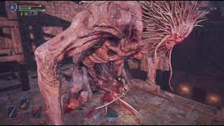 常夜エデレ(260418_02_ミミズ顔-坩堝の騎士_火口)ELDEN RING NIGHTREIGN_20260418120831