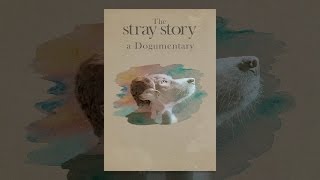 The Stray Story: A Dogumentary