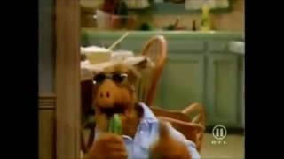 alf ese viejo rock and roll