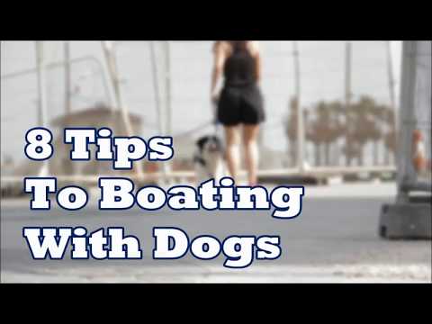 8 Tips to Boating with Dogs
