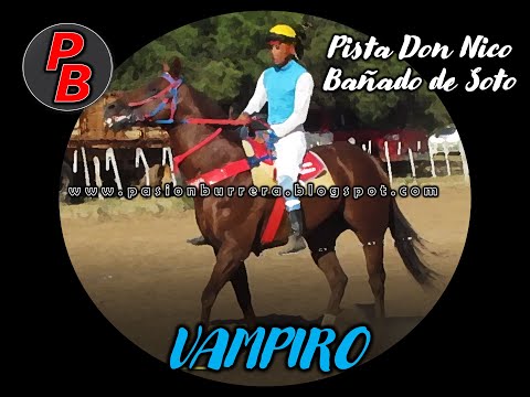 VAMPIRO - Bañado de Soto (16-01-2022)