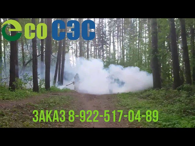 Видео обработки
