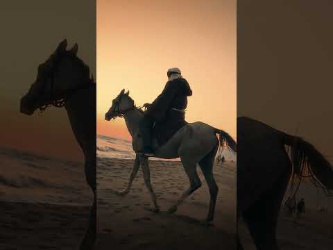 Emre Şakar ft. Ömer Bükülmezoğlu - Kara Toprak / Şimdi Dinle #music #newmusic