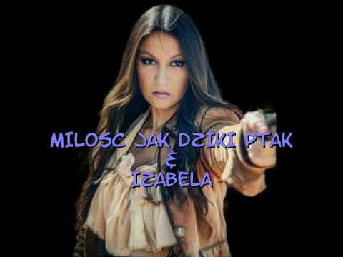 Miłość Jak Dziki Ptak — Izabela Hejzner