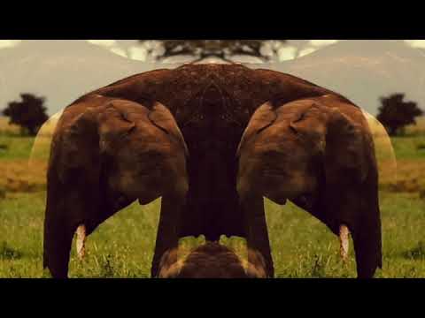 Marcos Dermi - Elephant (A Skitzo Remix)