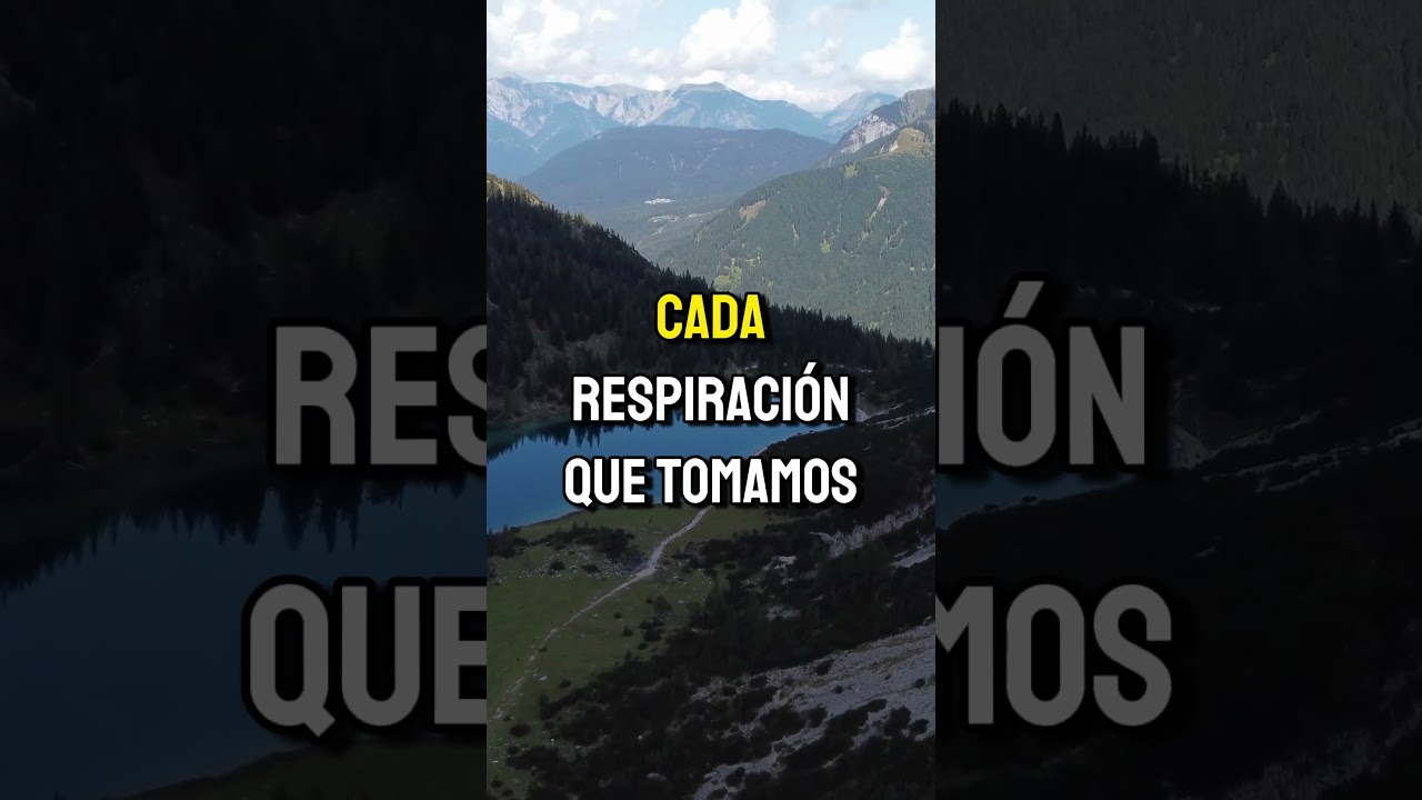 El Poder de la Creación y la felicidad en cada detalle de tu vida.