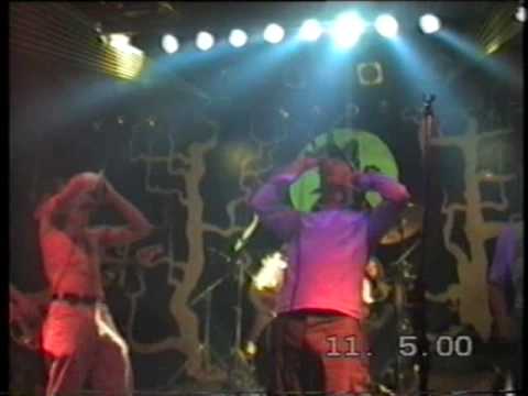 DRUGLY CATS  ПЯТНИЦКАЯ