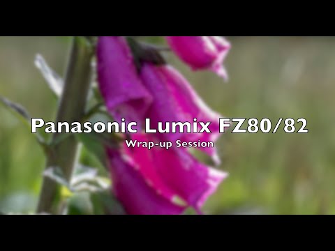 Panasonic Lumix FZ80/82 Revisited Series: Wrap up & Image Samples