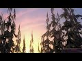 Surviving Sid An Ice Age Short 2008 Part 3 4