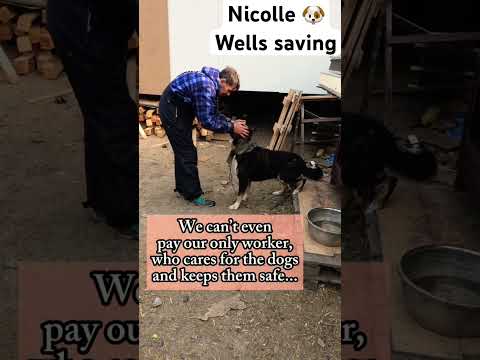 For any help consider donating link in bio to save a stray life in Los Angeles #rescuelife