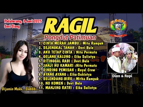 CINTA MERAH JAMBU - LIVE SUKAMANAH PADAHERANG - RAGIL PONGDUT