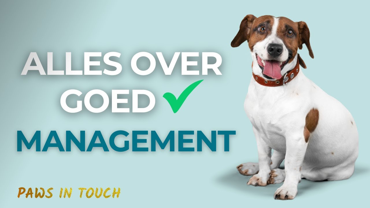 Wat is management in hondentraining – en waarom je het nodig hebt.