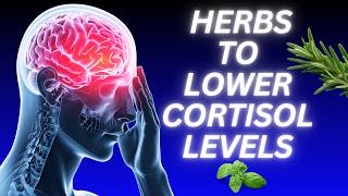 5 Ayurvedic Stress-Relieving Herbs to Lower Cortisol Levels Naturally