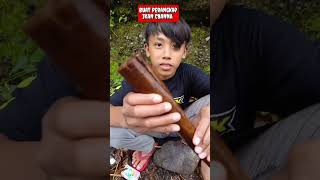 Download lagu BUKAN SEMBARANG PERANGKAP,JANGAN KEDIP - IKAN CHANNA #shorts #channa #limbata #viral mp3