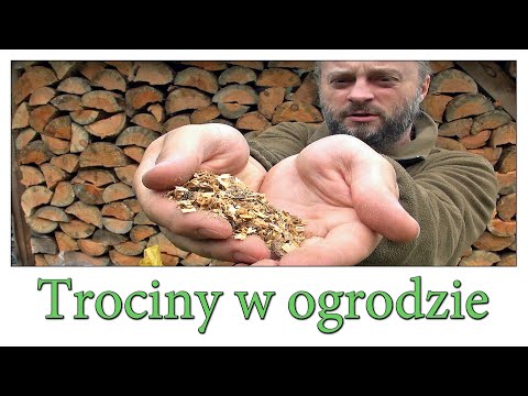 Trociny w ogrodzie - dobre czy niepotrzebne? - Ogrodowe pierdamony 126