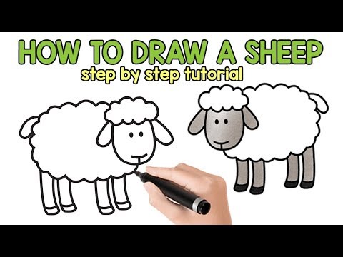 Learn How to Draw a Sheep - Easy Step by step drawing...