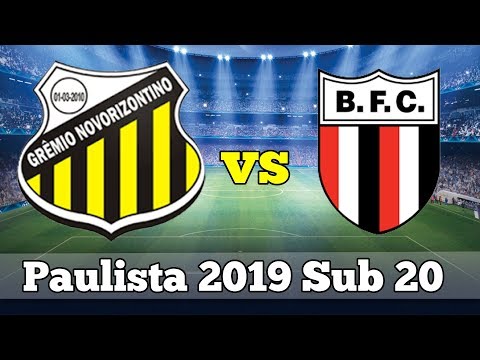 GOLS Paulista 2019 Sub 20 - Novorizontino x Botafogo (12/10/0219)
