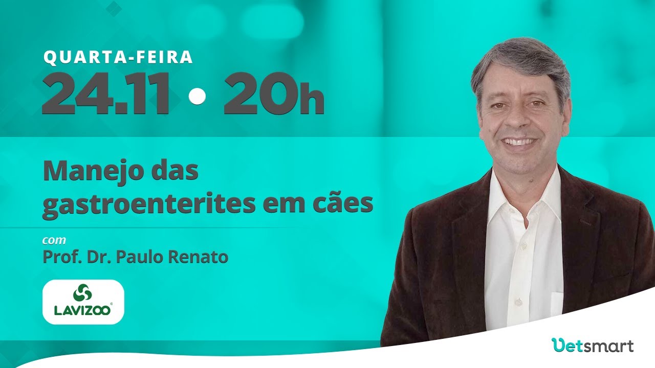 Manejo das gastroenterites em cães