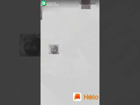 January 30, 2019(91)