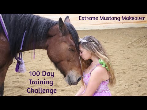 CA Extreme Mustang Makeover 2020- Snooze's Journey (100 Day Wild Mustang Challenge)