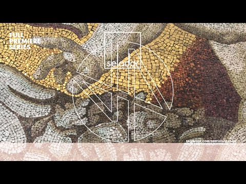 Several Definitions & Marc DePulse - Birds (JOBE Remix) - SELADOR