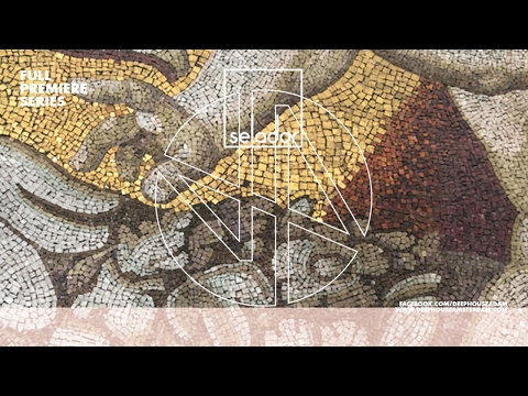 Several Definitions & Marc DePulse - Birds (JOBE Remix) - SELADOR