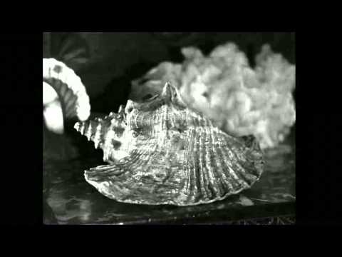 Thumbnail of the video: Le Tempestaire (Jean Epstein)