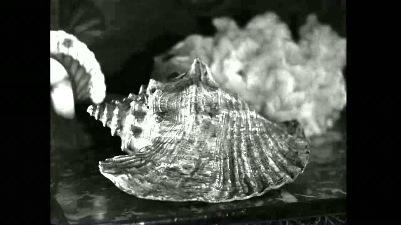 Le Tempestaire (Jean Epstein)