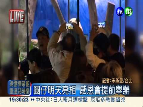 圓仔明天亮相 感恩會提前舉辦