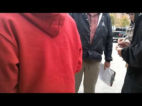 Abbotswood Potentilla (Potentilla fruticosa 'Abbotswood')