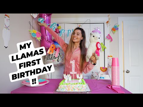 THROWING A SURPRISE PARTY FOR MY CRAZY LLAMA !! LLAMABEANS 1st BIRTHDAY !!