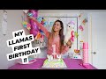 THROWING A SURPRISE PARTY FOR MY CRAZY LLAMA LLAMABEANS 1st BIRTHDAY
