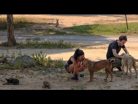 Shannon's Internship in Thailand