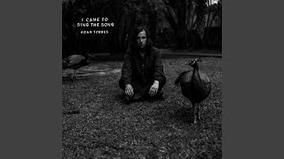 I Came to Sing the Song