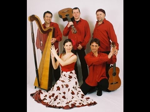 ZuidAmerikaanse live-muziek solist,duo,trio