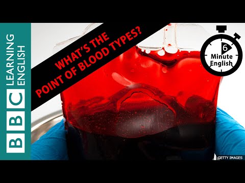 血型有什麼用？- 6分鐘英語 (What’s the point of blood types? - 6 Minute English)
