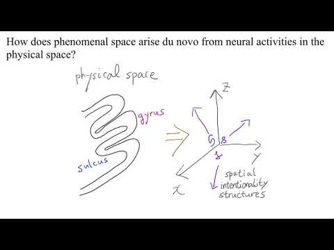 Qualia and intentionality