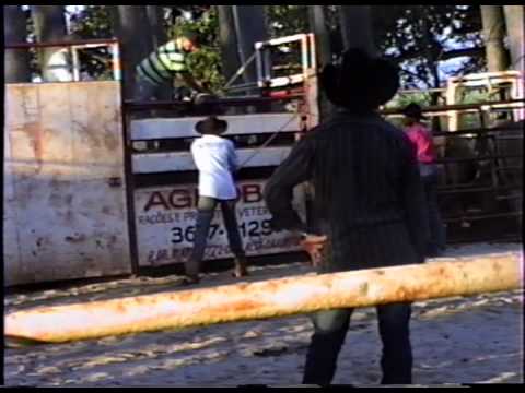 GINGA TOURO NEUROTICO