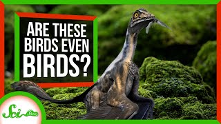 These Extinct Birds Really Stretch the Definition of “Bird”