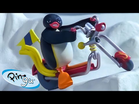 Pingu and the New Scooter 🐧 | Pingu - Official Channel | Cartoons For Kids
