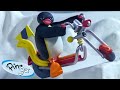Pingu And The New Scooter Pingu Official Channel Cartoons For Kids