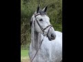 KOBALT DU BIGACHON