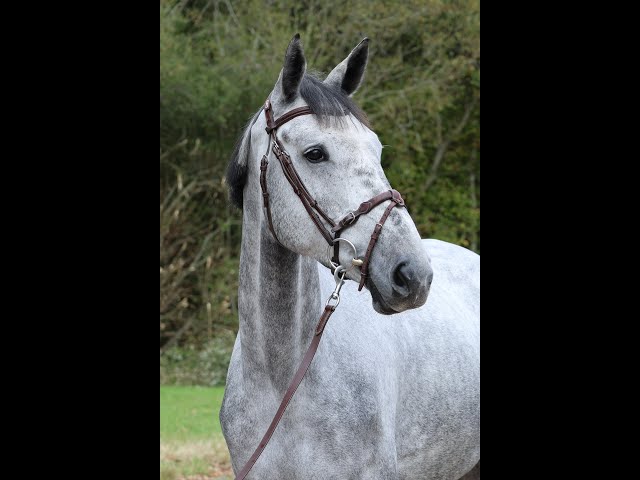 KOBALT DU BIGACHON