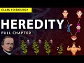 CLASS 10 HEREDITY & EVOLUTION Full chapter explanation (Animation) | NCERT Class 10 Chapter 8