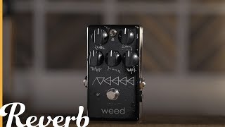 Video thumbnail for Made In Japan: The UGEEE Distortion by Weed | Reverb Demo Video by Reverb