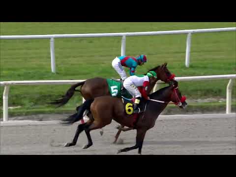 221112 c03 BRUJA PASION