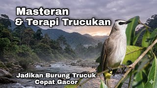 Download lagu TERAPI TRUCUKAN STRES - Terapi BURUNG TRUCUKAN BIAR CEPAT GACOR Ropel panjang mp3 Download lagu TERAPI TRUCUKAN STRES - Terapi BURUNG TRUCUKAN BIAR CEPAT GACOR Ropel panjang mp3