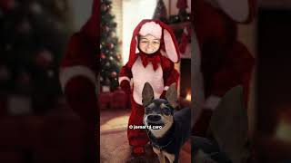 DINGO BELL - O HIT DE NATAL DO ZORRO! parte 1