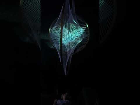 Cambridge Science Festival 9/28/2024 @3Dstringsculpture David Press light show